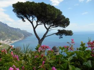 Ravello